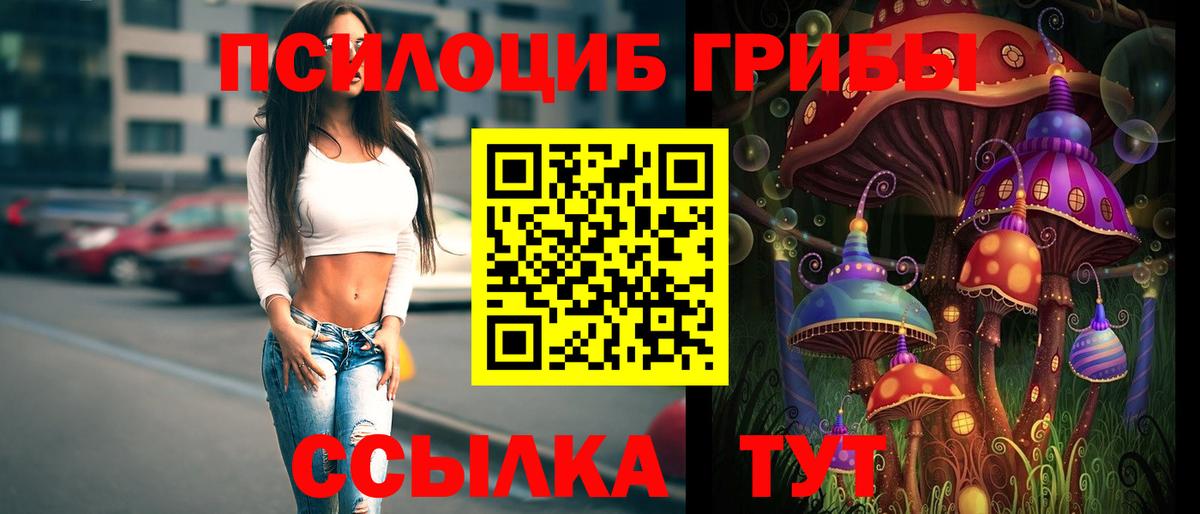 Псилоцибиновые грибы GOLDEN TEACHER  Галлюциногенные грибы прущие грибы  Вход с VPN  Волгоград 
