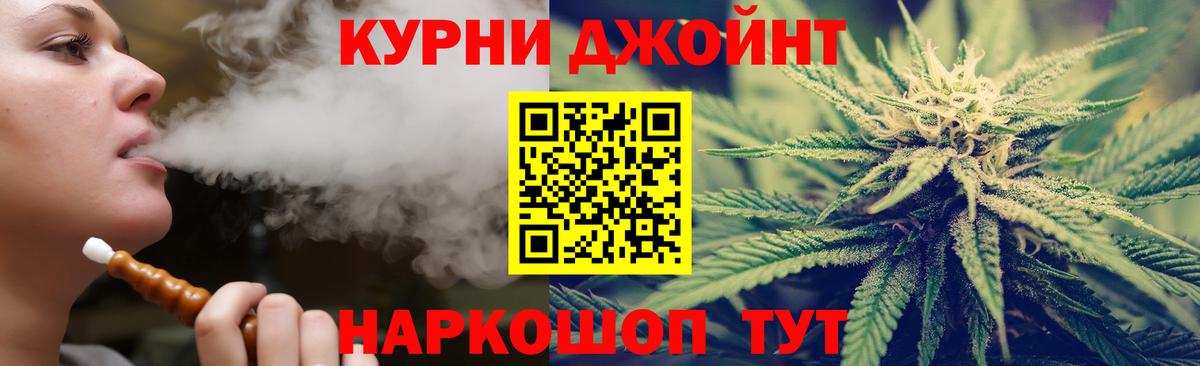 Каннабис OG Kush Волгоград